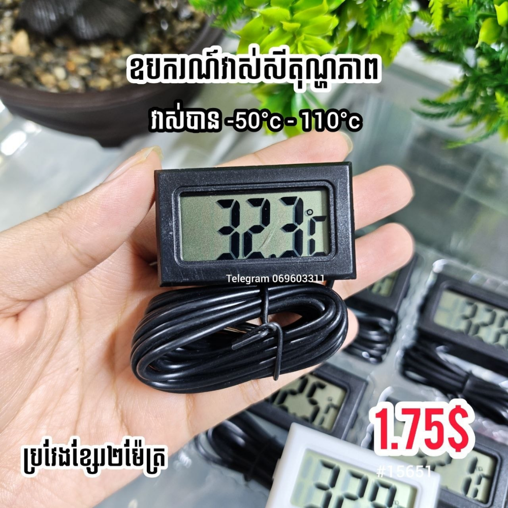LCD Digital Thermometer