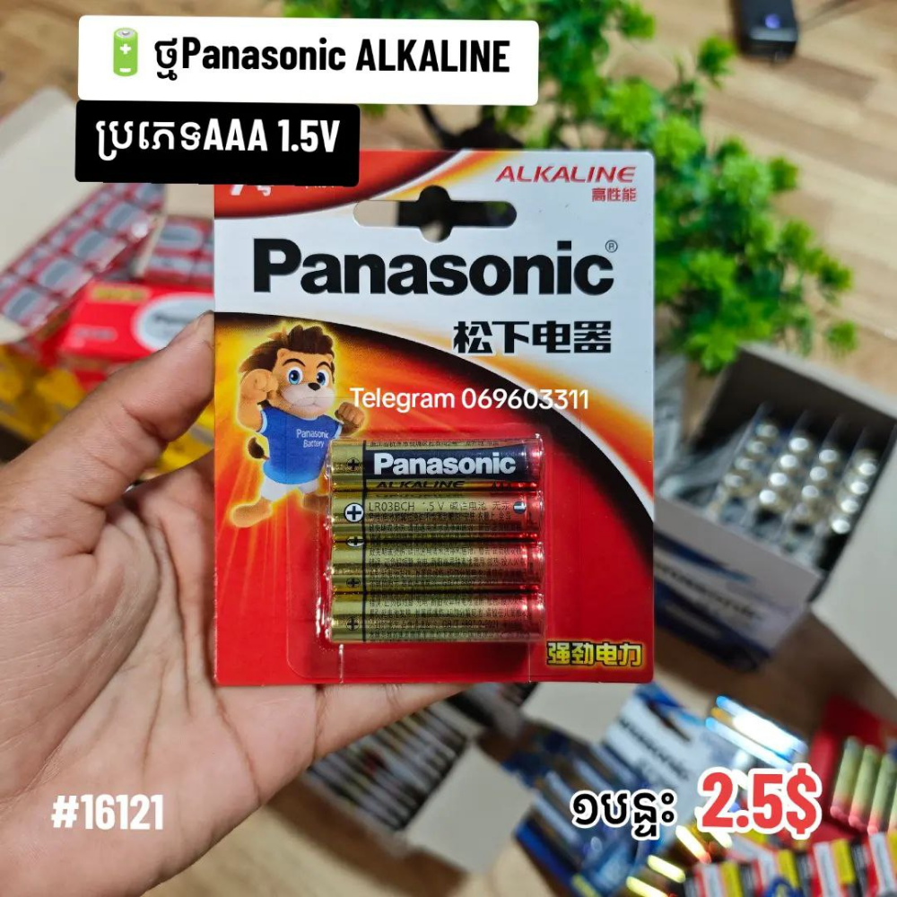 Panasonic ALKALINE 1.5V