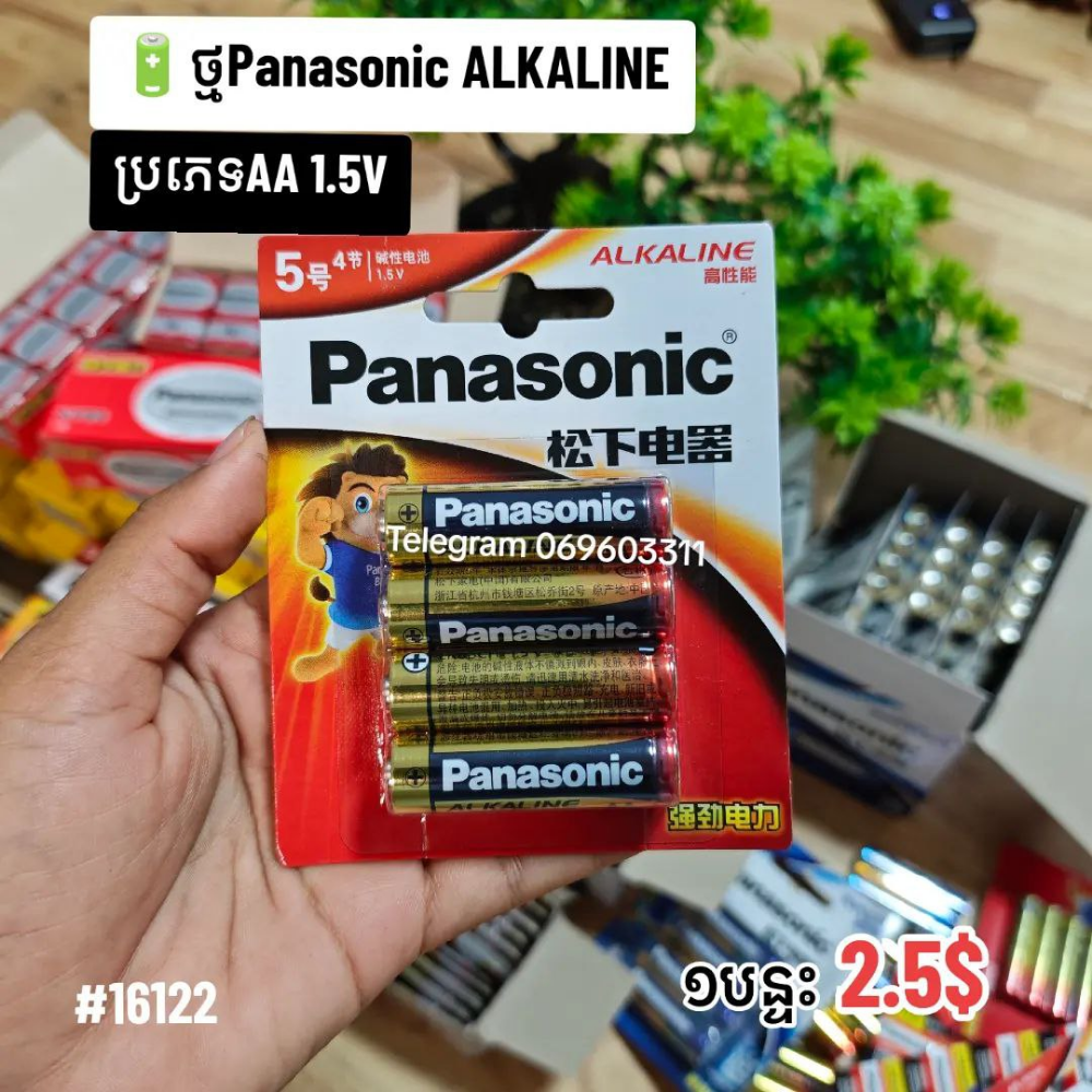 Panasonic ALKALINE 1.5V