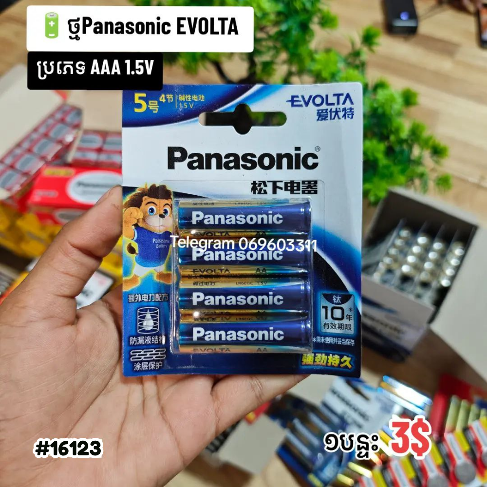 Panasonic EVOLTA 1.5V